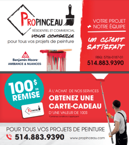 Capture-decran-2024-11-11-103814-266×300 - CCIVR  - CCIVR